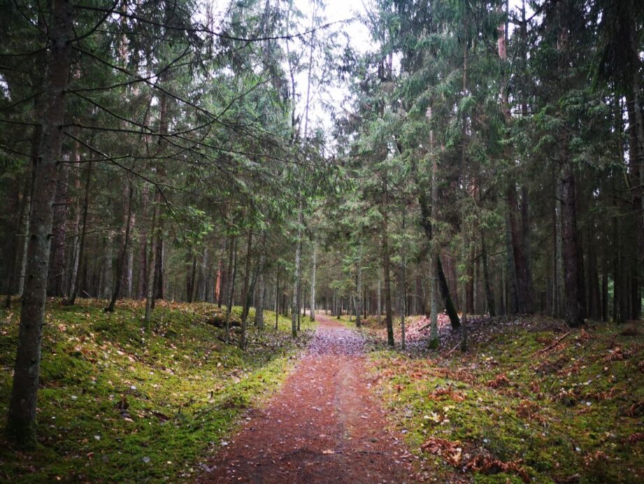 Lekėčių Pažintinis Takas | Judeksveikai.lt